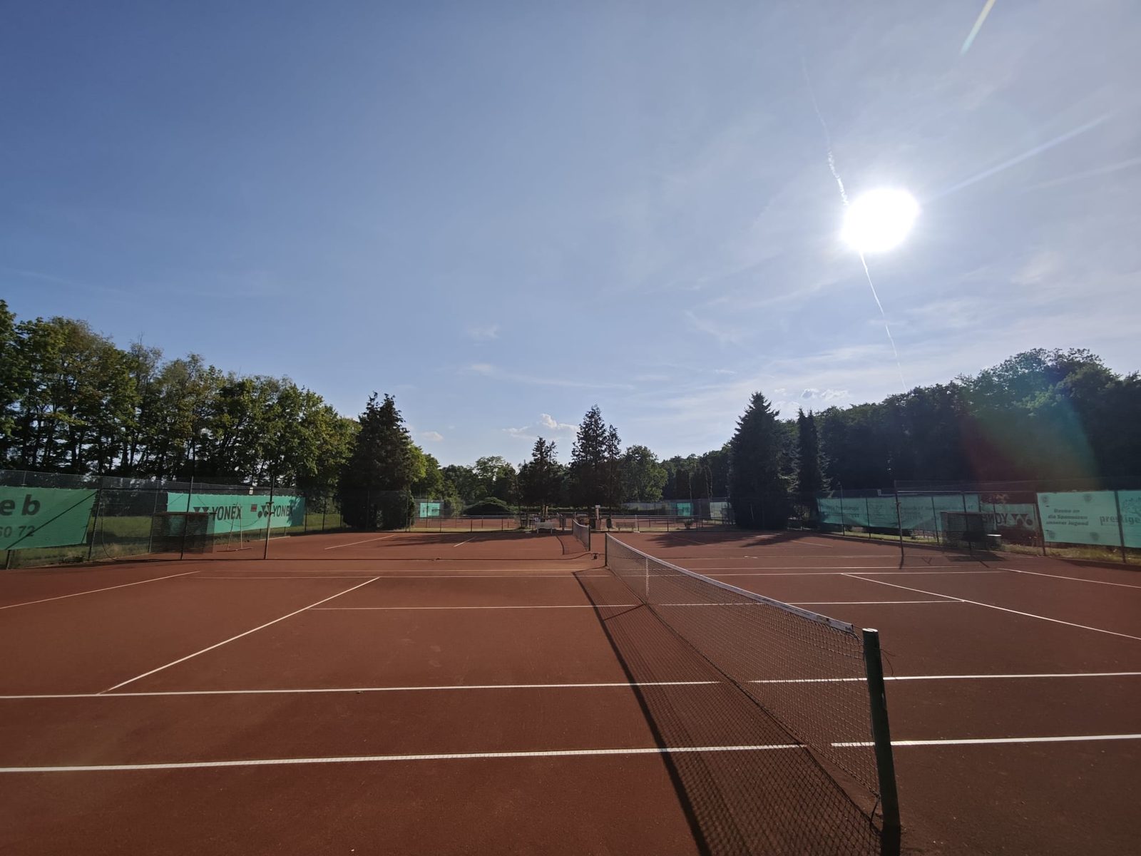 Sandplätze des TC Biblis im Sommer
